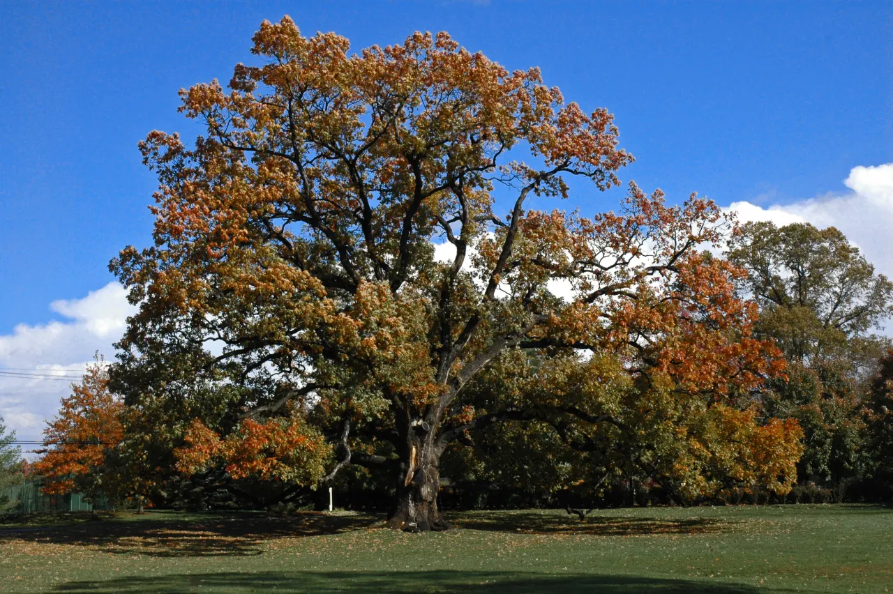 Florham Park, New Jersey